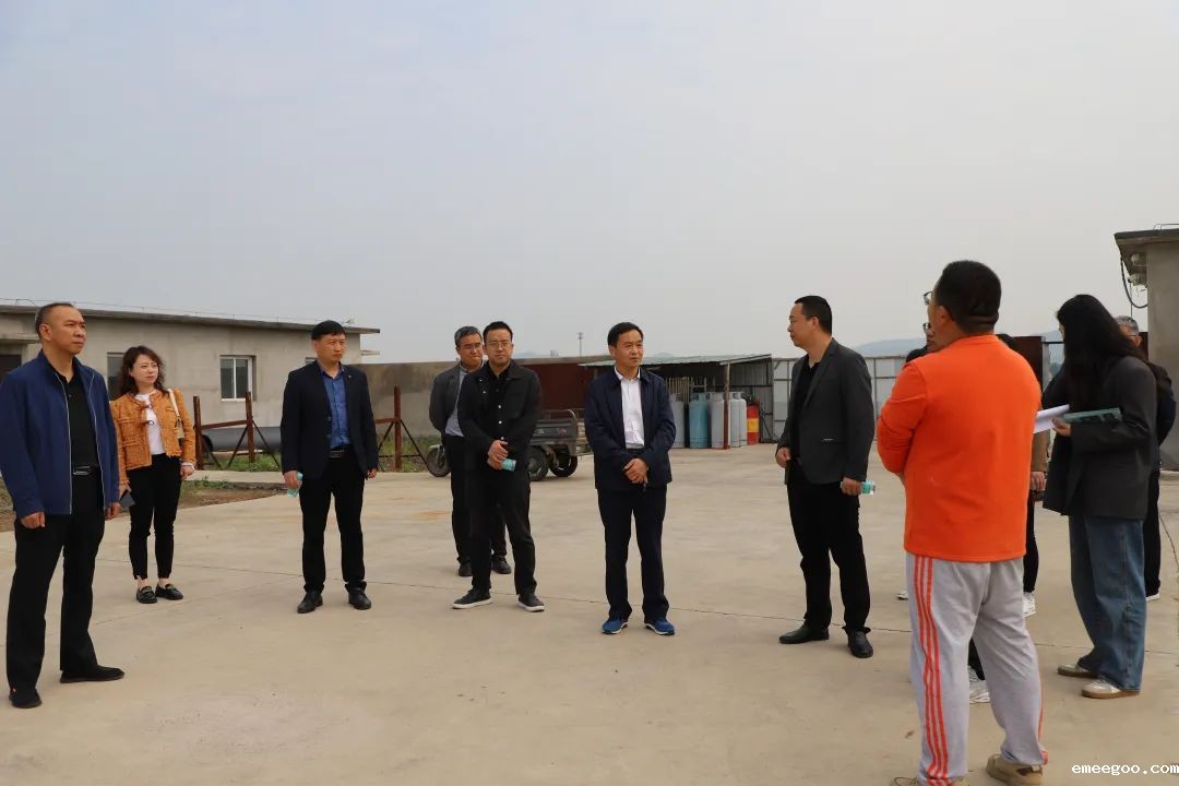 1683883288828054.jpg 640.jpg