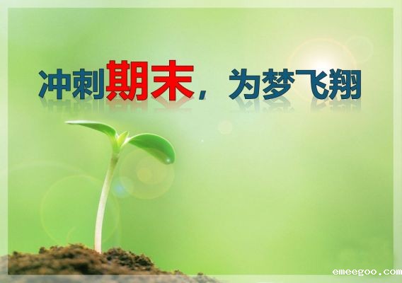 关于2023-2024学年第二学期期末考试的通知